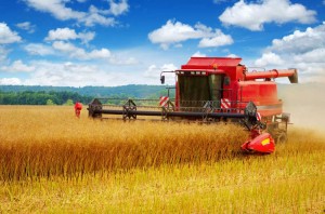 Mga Gear ng Harvester