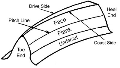 Gear tooth 