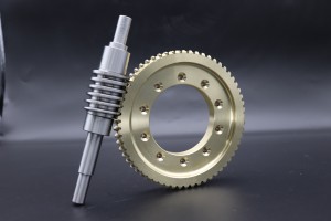 worm and worm wheel
